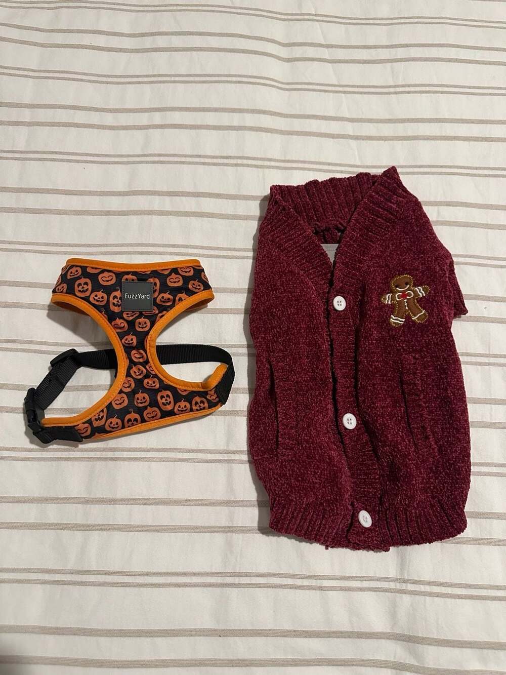 FuzzYard Halloween Pumpkin Dog Harness and ED Ellen DeGeneres Gingerbread Cardig